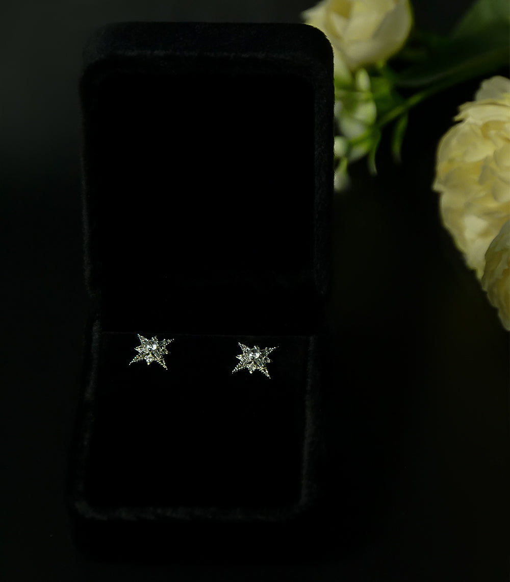 Star Shape Silver Stone Ear Studs