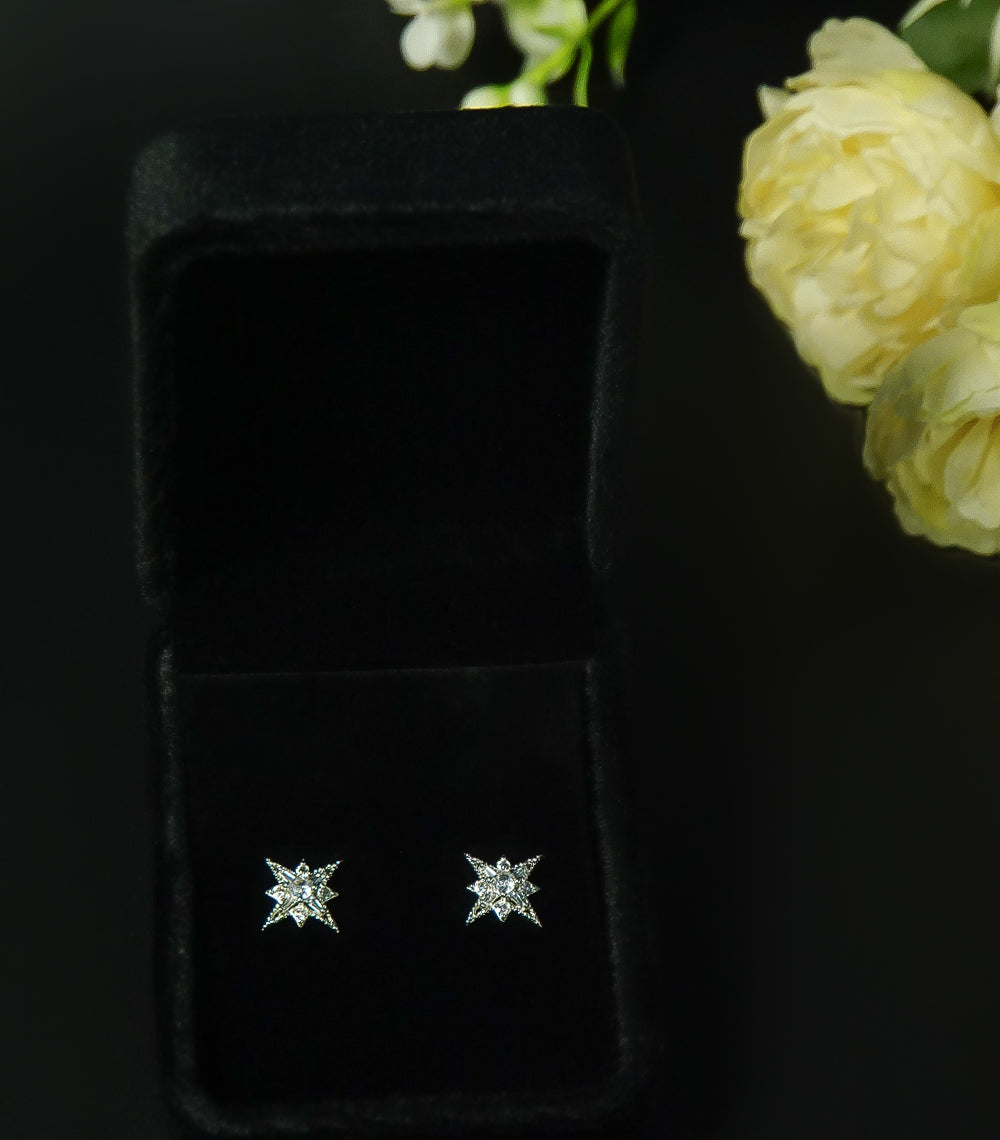 Star Shape Silver Stone Ear Studs