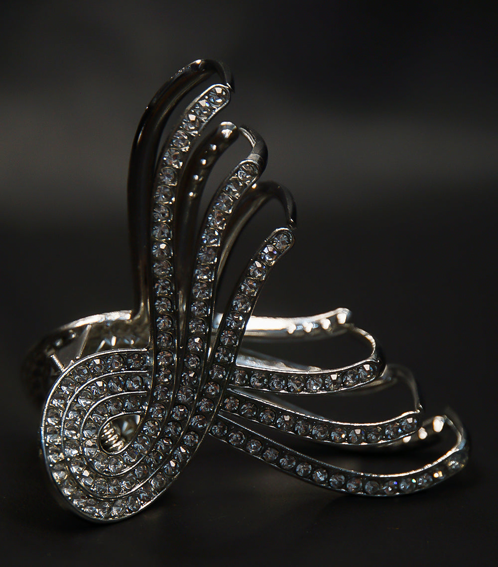 Silver Catcher with Silver Stones