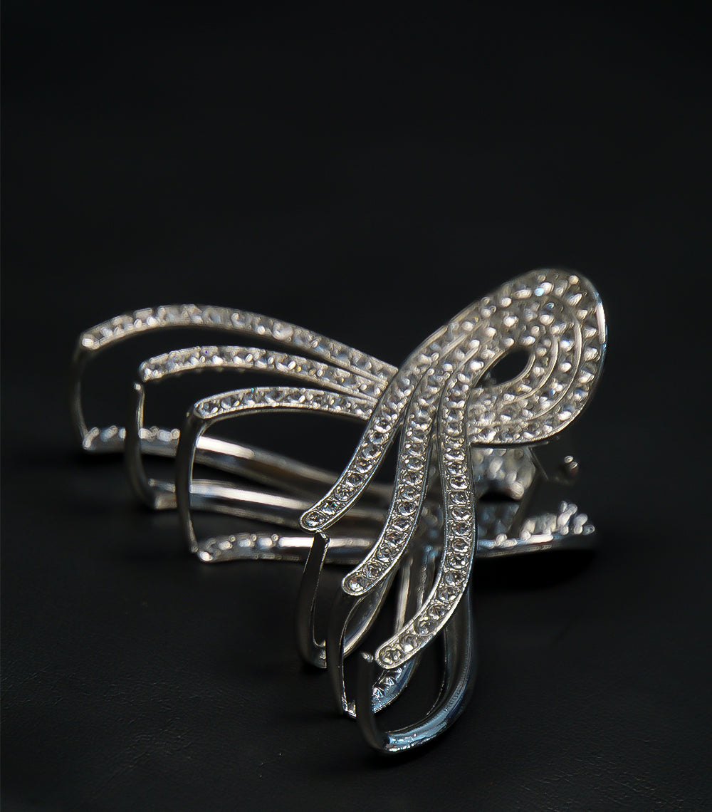 Silver Catcher with Silver Stones