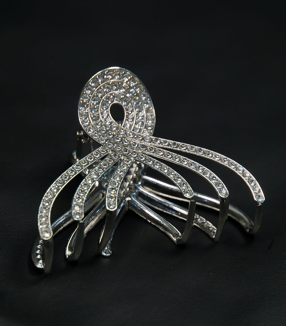 Silver Catcher with Silver Stones